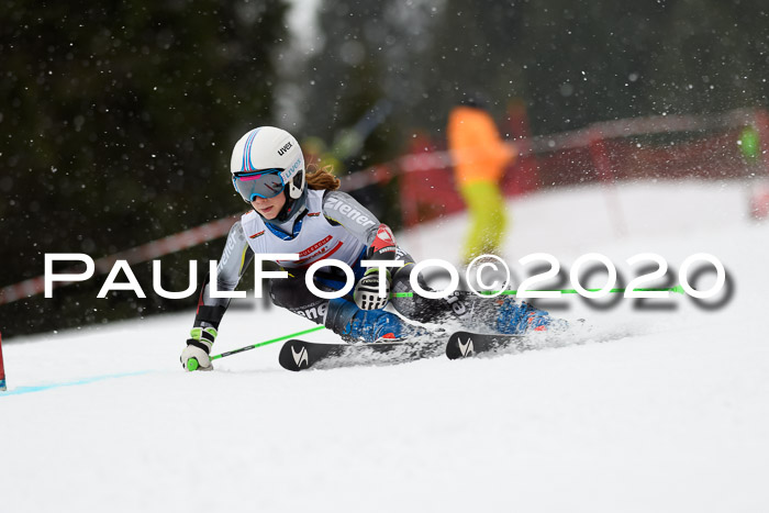 DSV - Deutscher Schülercup U12 Finale RaceCross