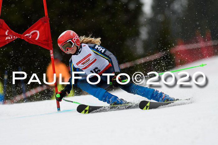 DSV - Deutscher Schülercup U12 Finale RaceCross