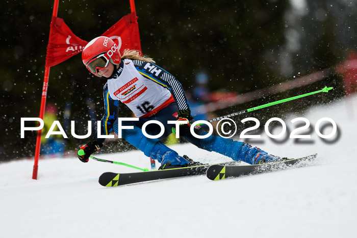 DSV - Deutscher Schülercup U12 Finale RaceCross