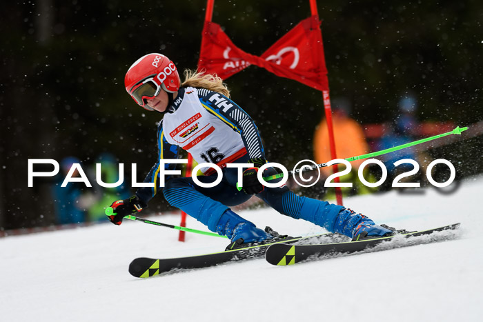 DSV - Deutscher Schülercup U12 Finale RaceCross