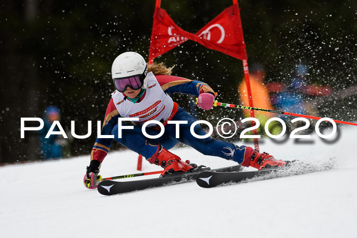 DSV - Deutscher Schülercup U12 Finale RaceCross