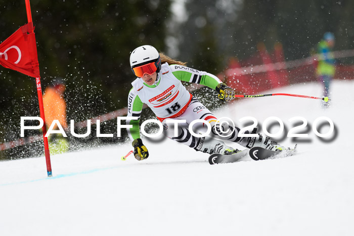 DSV - Deutscher Schülercup U12 Finale RaceCross