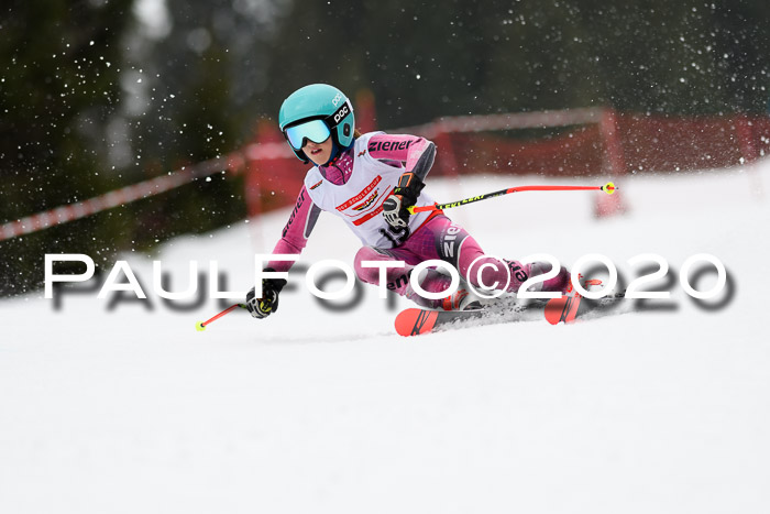 DSV - Deutscher Schülercup U12 Finale RaceCross