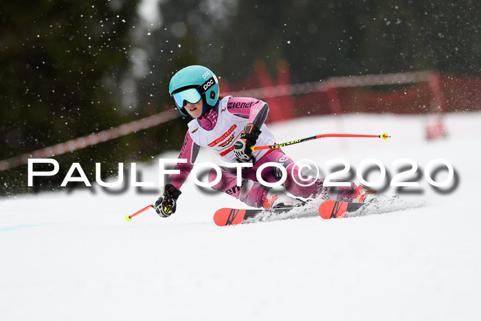 DSV - Deutscher Schülercup U12 Finale RaceCross
