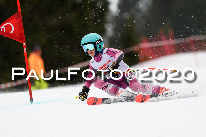 DSV - Deutscher Schülercup U12 Finale RaceCross