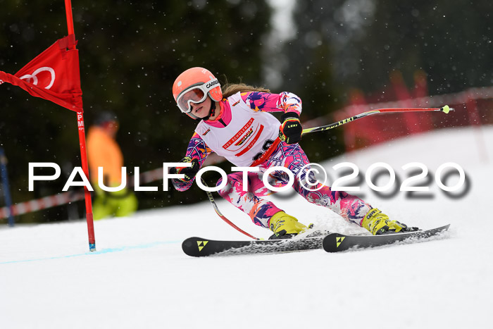 DSV - Deutscher Schülercup U12 Finale RaceCross