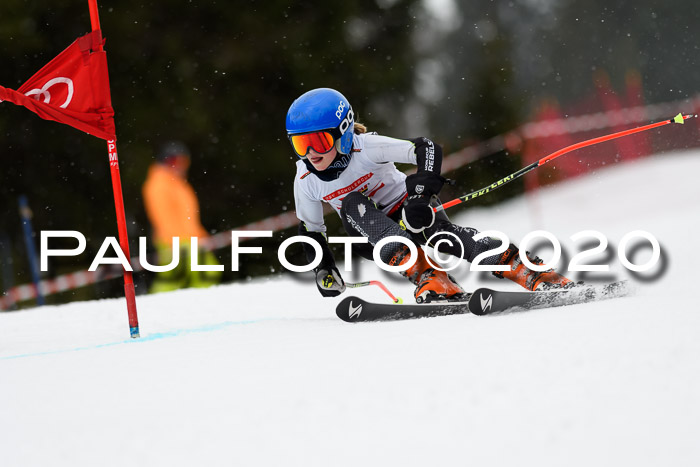 DSV - Deutscher Schülercup U12 Finale RaceCross