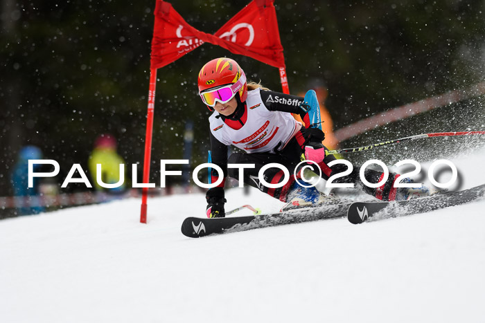 DSV - Deutscher Schülercup U12 Finale RaceCross