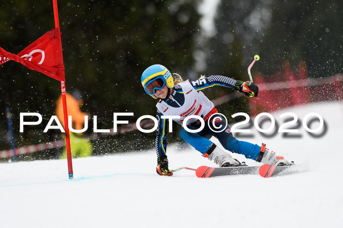 DSV - Deutscher Schülercup U12 Finale RaceCross