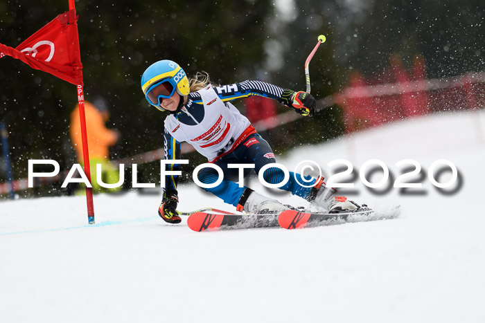 DSV - Deutscher Schülercup U12 Finale RaceCross