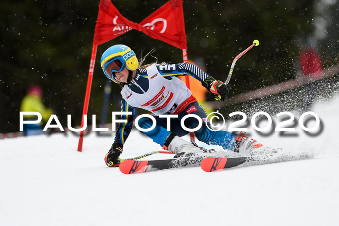 DSV - Deutscher Schülercup U12 Finale RaceCross