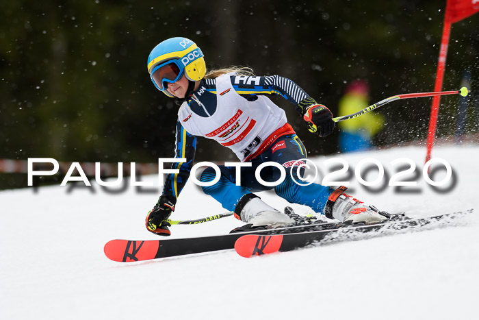DSV - Deutscher Schülercup U12 Finale RaceCross