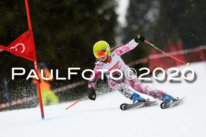 DSV - Deutscher Schülercup U12 Finale RaceCross