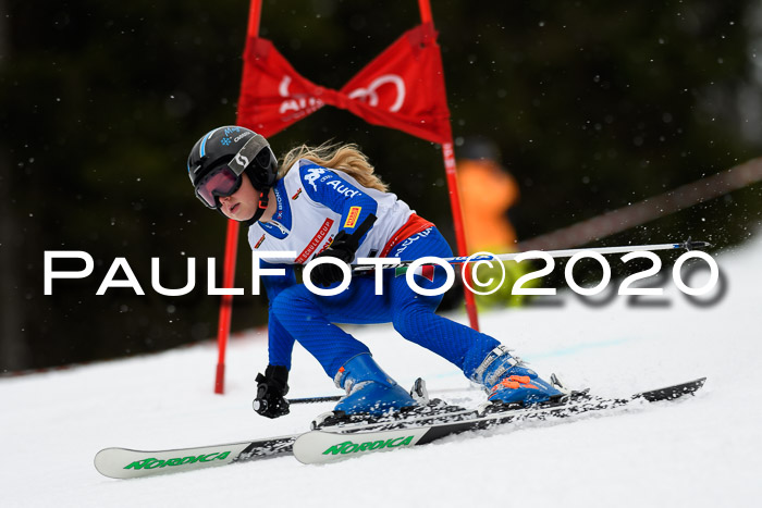 DSV - Deutscher Schülercup U12 Finale RaceCross