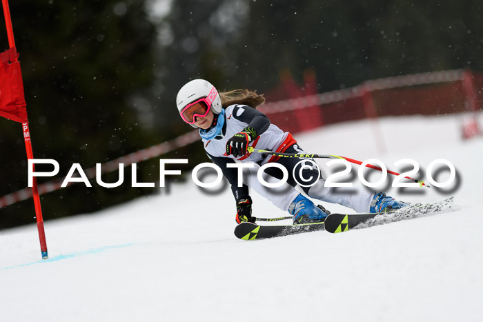DSV - Deutscher Schülercup U12 Finale RaceCross