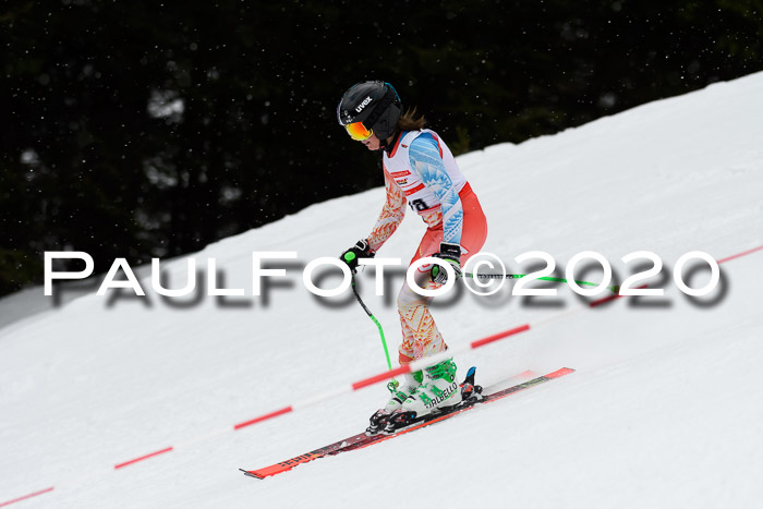 DSV - Deutscher Schülercup U12 Finale RaceCross