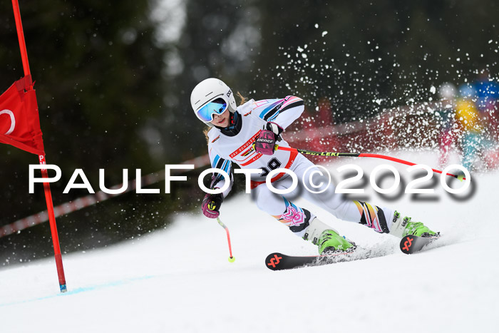 DSV - Deutscher Schülercup U12 Finale RaceCross