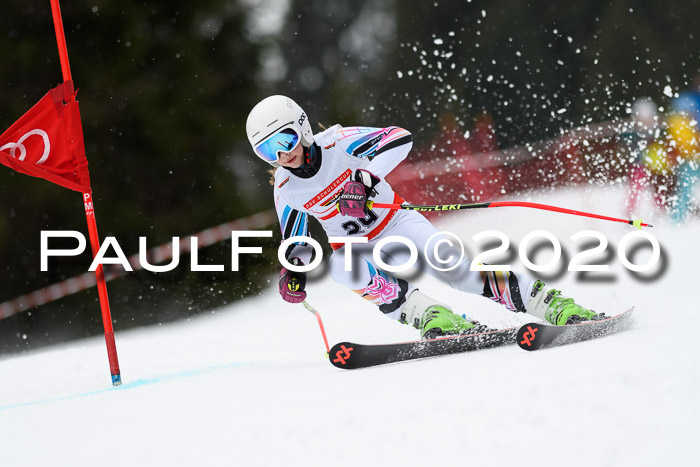DSV - Deutscher Schülercup U12 Finale RaceCross
