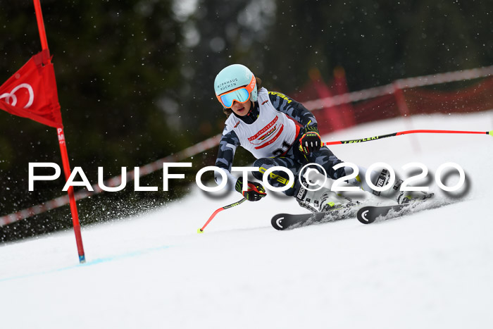 DSV - Deutscher Schülercup U12 Finale RaceCross