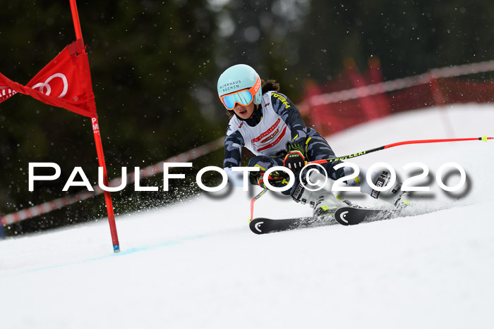 DSV - Deutscher Schülercup U12 Finale RaceCross