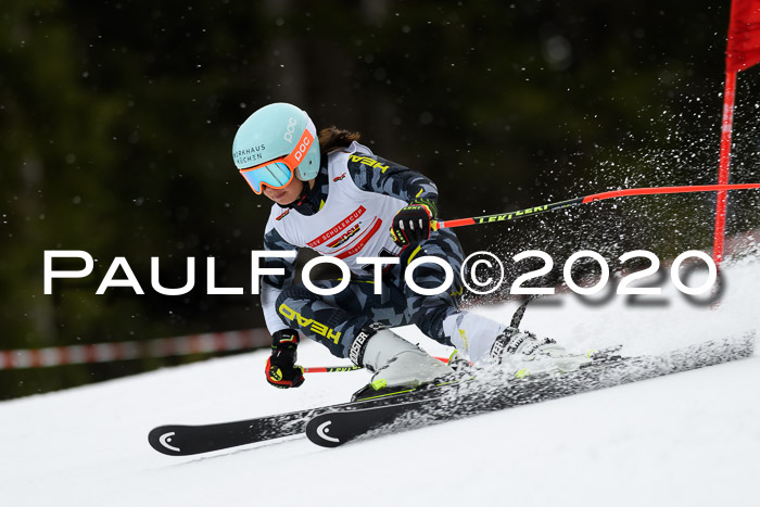 DSV - Deutscher Schülercup U12 Finale RaceCross