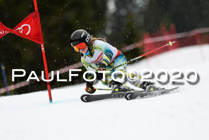 DSV - Deutscher Schülercup U12 Finale RaceCross