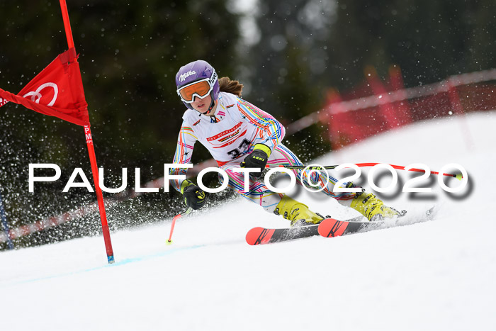 DSV - Deutscher Schülercup U12 Finale RaceCross