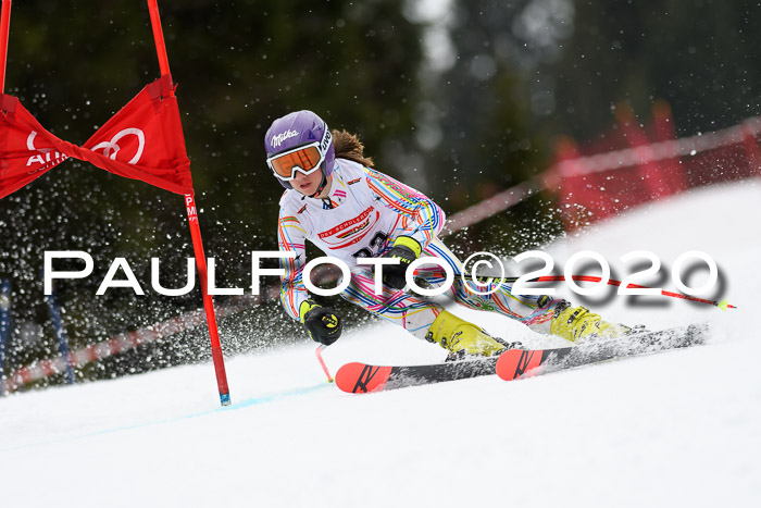 DSV - Deutscher Schülercup U12 Finale RaceCross