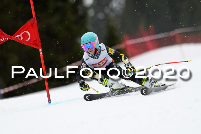 DSV - Deutscher Schülercup U12 Finale RaceCross