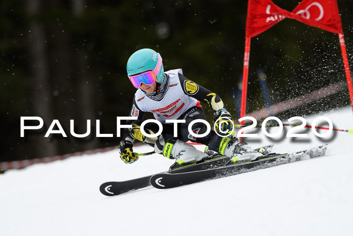 DSV - Deutscher Schülercup U12 Finale RaceCross