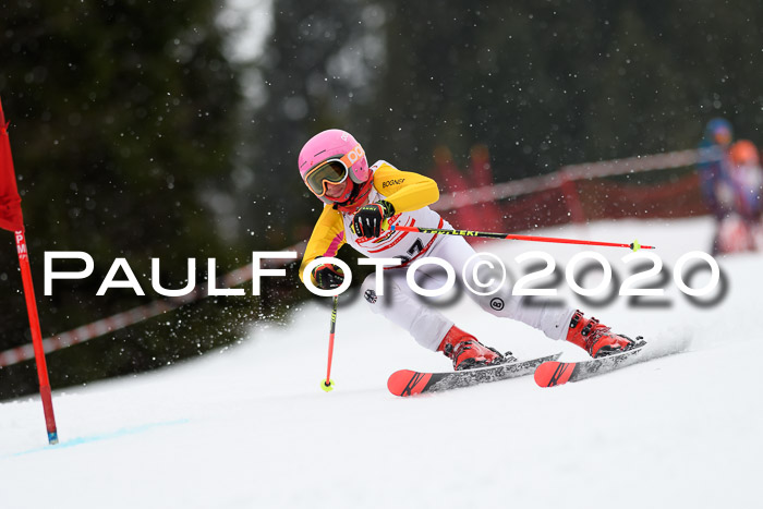 DSV - Deutscher Schülercup U12 Finale RaceCross