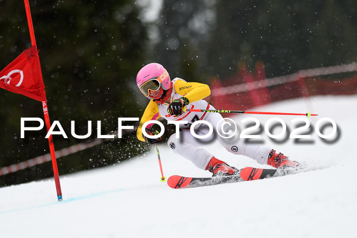 DSV - Deutscher Schülercup U12 Finale RaceCross