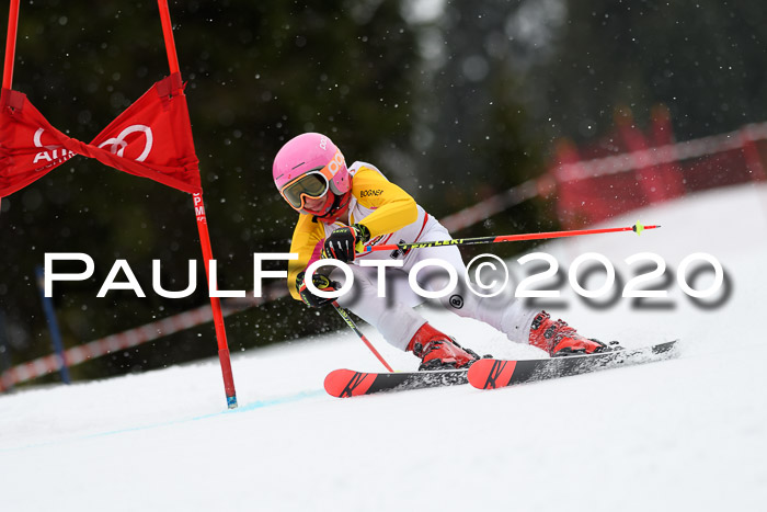 DSV - Deutscher Schülercup U12 Finale RaceCross