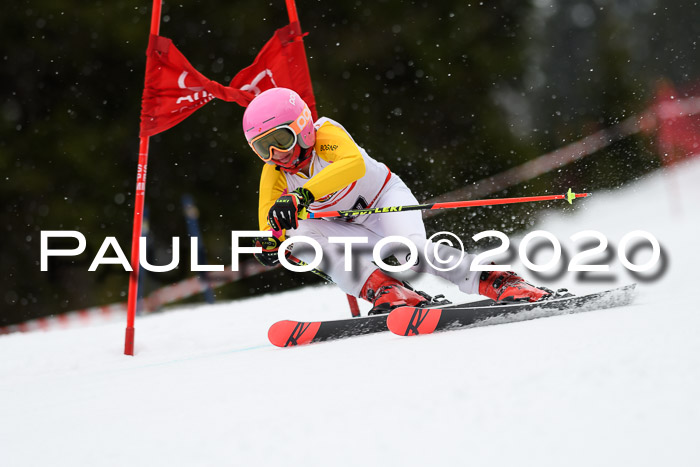 DSV - Deutscher Schülercup U12 Finale RaceCross