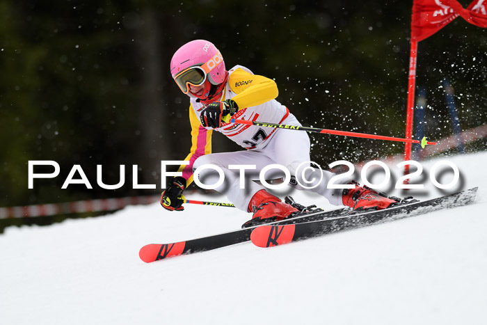 DSV - Deutscher Schülercup U12 Finale RaceCross