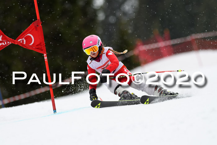 DSV - Deutscher Schülercup U12 Finale RaceCross