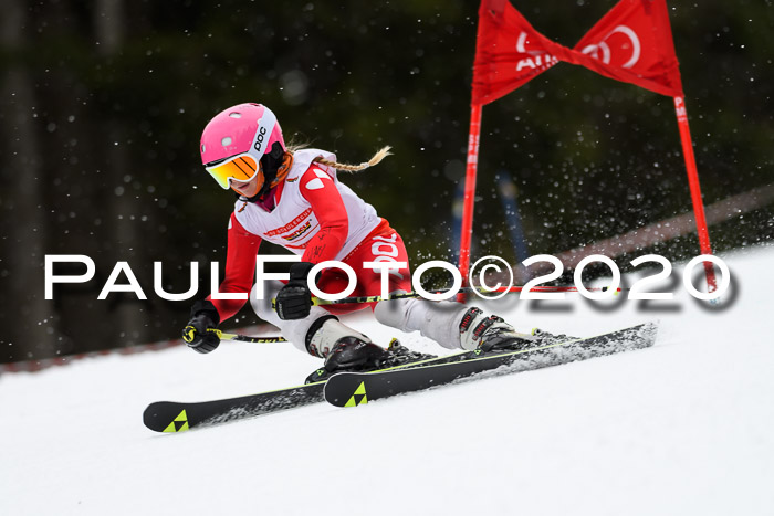 DSV - Deutscher Schülercup U12 Finale RaceCross