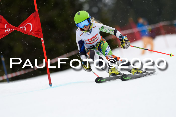 DSV - Deutscher Schülercup U12 Finale RaceCross