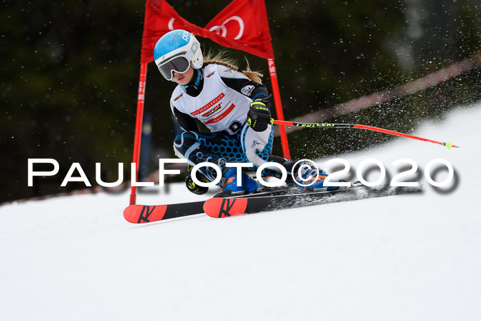 DSV - Deutscher Schülercup U12 Finale RaceCross