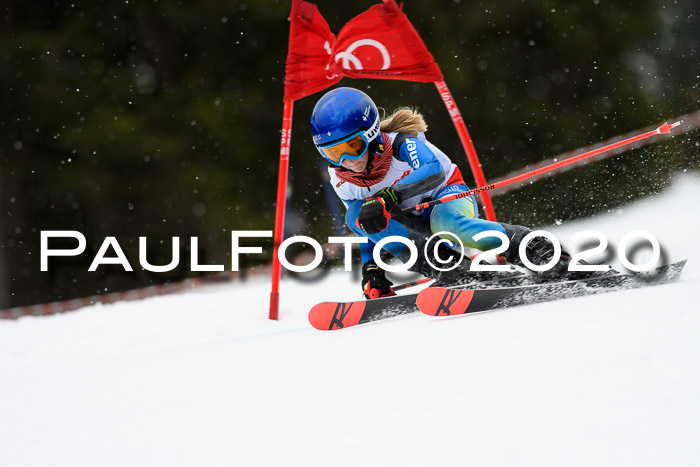 DSV - Deutscher Schülercup U12 Finale RaceCross