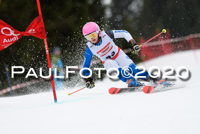 DSV - Deutscher Schülercup U12 Finale RaceCross