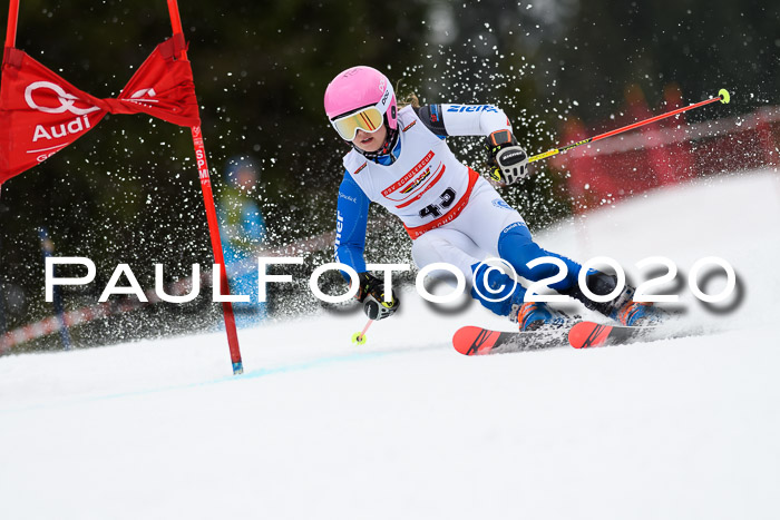 DSV - Deutscher Schülercup U12 Finale RaceCross