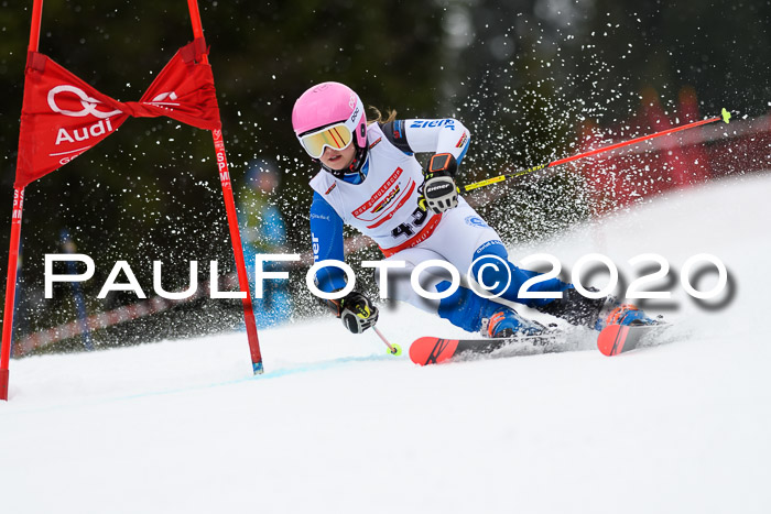 DSV - Deutscher Schülercup U12 Finale RaceCross