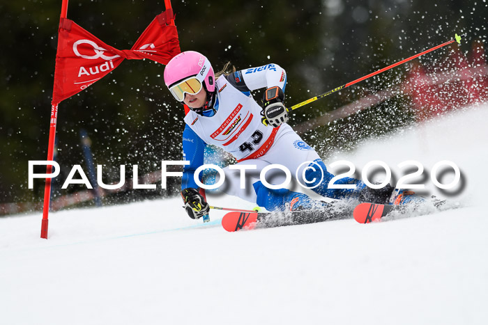 DSV - Deutscher Schülercup U12 Finale RaceCross