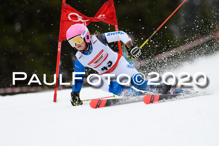 DSV - Deutscher Schülercup U12 Finale RaceCross