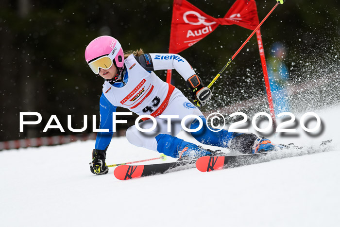 DSV - Deutscher Schülercup U12 Finale RaceCross