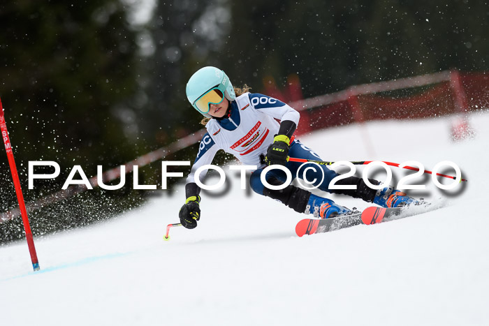 DSV - Deutscher Schülercup U12 Finale RaceCross