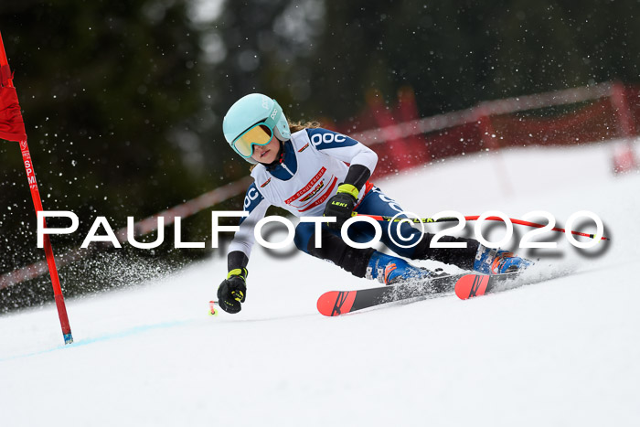 DSV - Deutscher Schülercup U12 Finale RaceCross