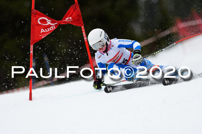 DSV - Deutscher Schülercup U12 Finale RaceCross
