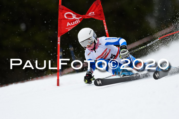 DSV - Deutscher Schülercup U12 Finale RaceCross